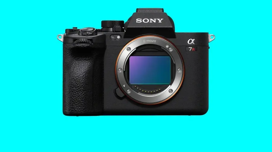 The Best Mirrorless Cameras to Level Up Your Photos